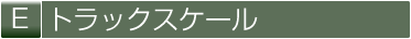 E トラックスケール